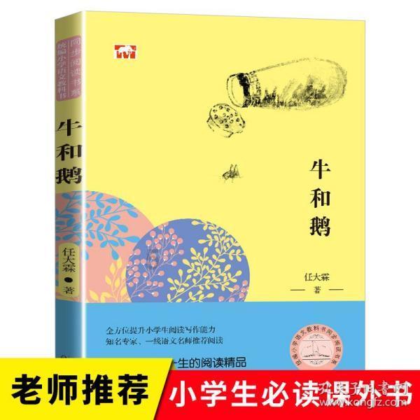 可爱的小考拉